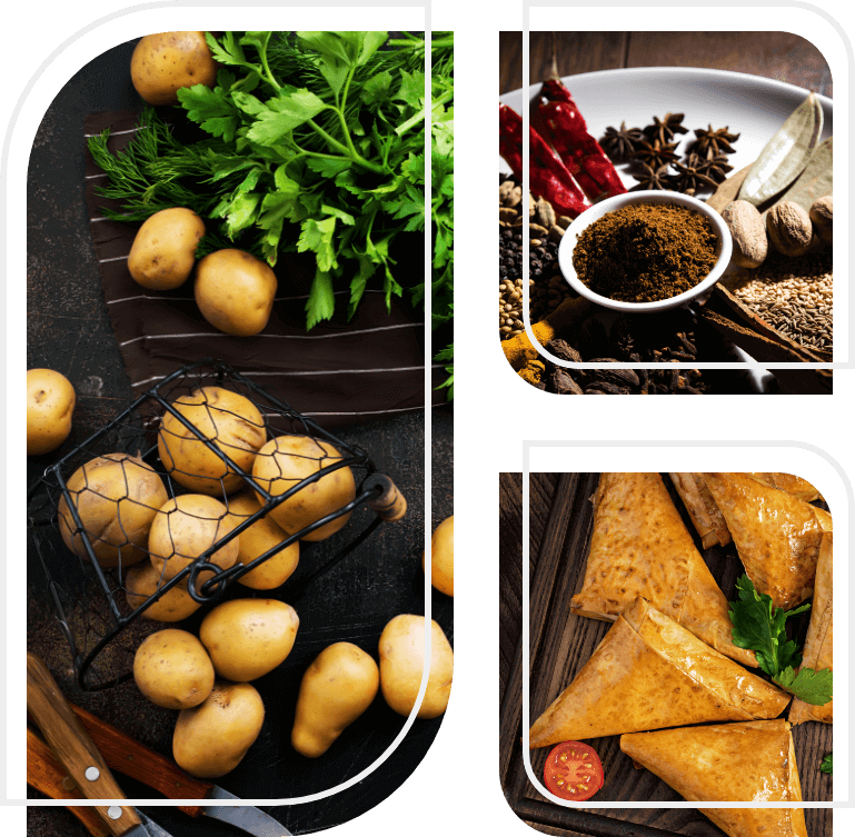 Samosa Header